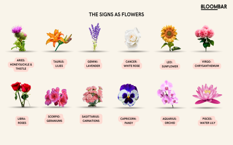 january 4th astrology explained? Discover your birthday horoscope!