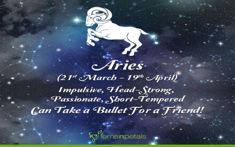 Aries Career Horoscope: Simple Ways to Find Better Luck Now
