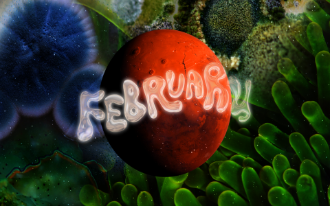 Is February Lucky for Aries in 2025? Fun Horoscope Insights Shared Now!