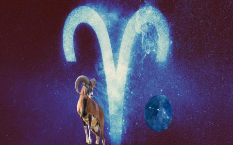 Why follow Aries weekly career horoscope? (Real benefits for professional growth)