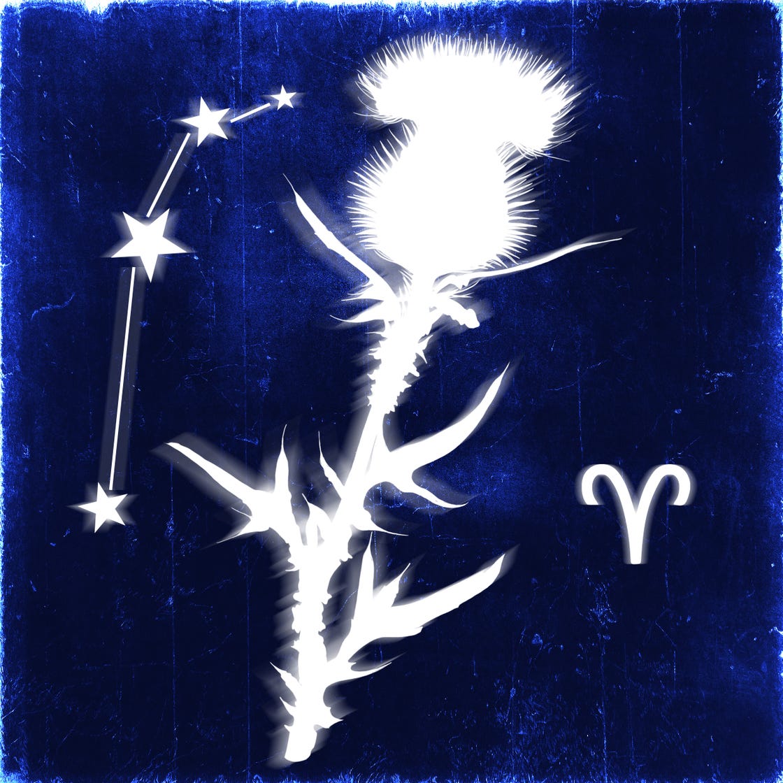 Daily Aries Scorpio Horoscope: Todays Advice for You