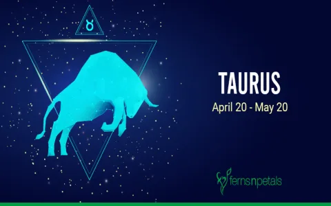 April Aries and September Virgo Compatibility Check Their Love Match