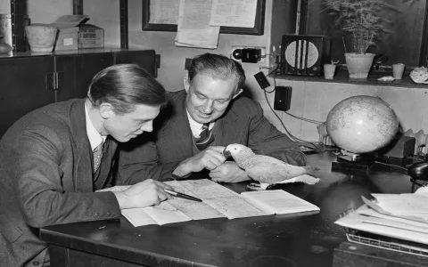 David Attenborough astrology： What can we learn from his star chart？