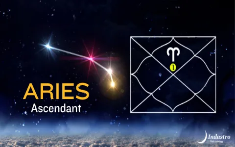 Where to find accurate daily horoscopes for Aries？ Check these places!