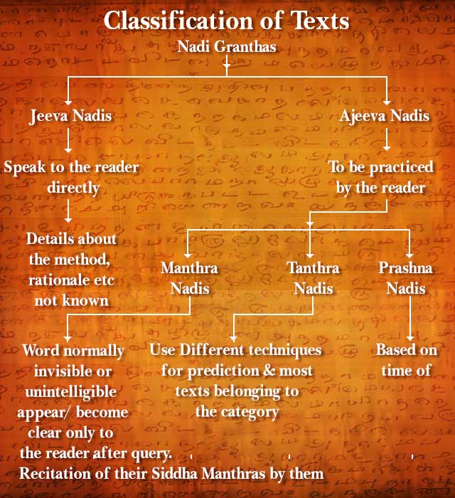 How to get reliable nadi astrology online free？ Follow these steps!