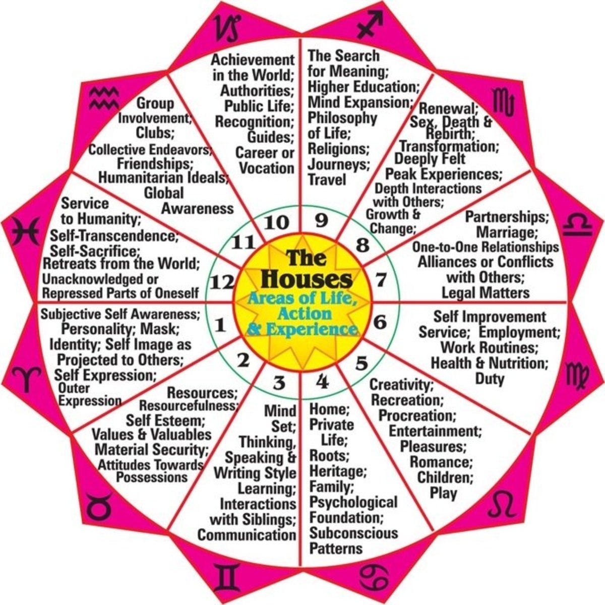 What do 7th house body parts in astrology indicate? Find out here!